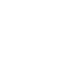 L1